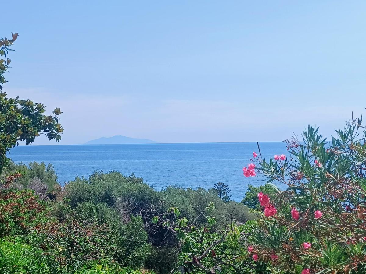 Villa Magnolia Santa-Maria-di-Lota Luaran gambar