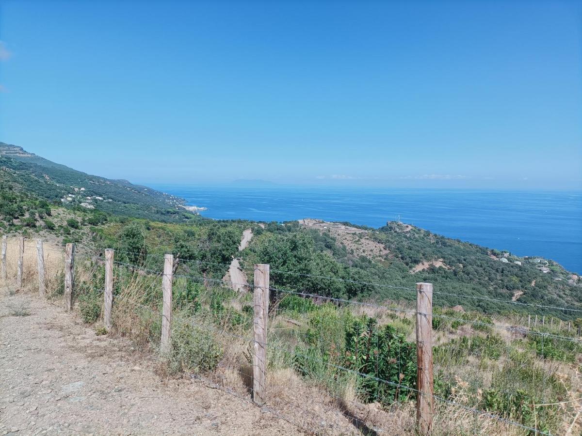 Villa Magnolia Santa-Maria-di-Lota Luaran gambar